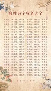 龍年謝姓男孩名字大全 龍年謝姓簡單順口的男孩名字