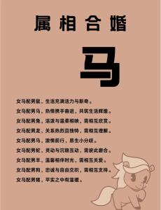 屬馬命中注定的情人  生肖婚配