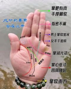 手相告訴你何時(shí)轉(zhuǎn)運(yùn)