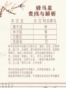 女命帶驛馬看事業