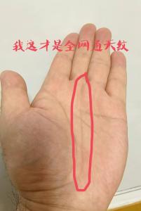 你的手上有通天紋嗎