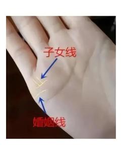 女人能嫁得好手相