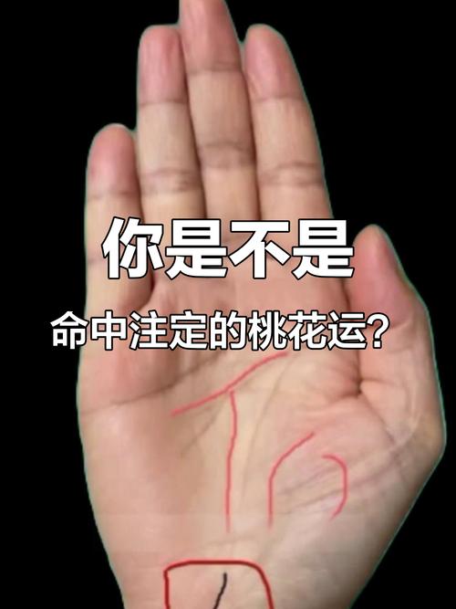 什么手相的人總是招惹爛桃花