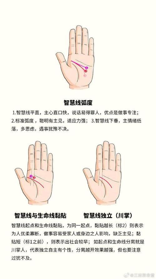 智慧線的形狀與個性有什么關系