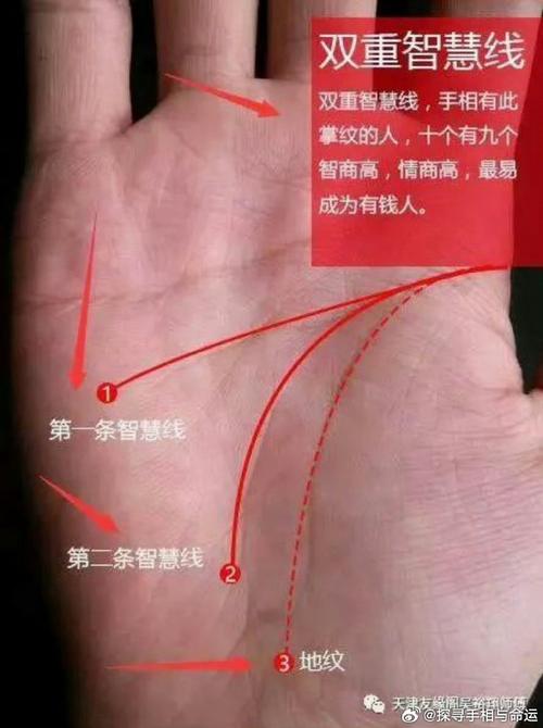 智慧線長代表智商高嗎