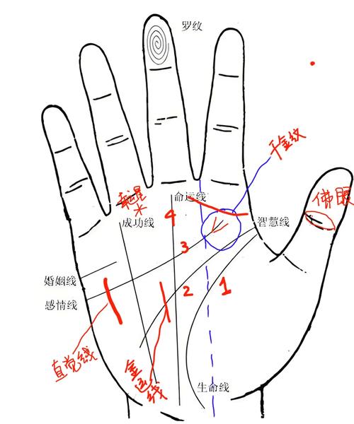 手相的四個基本線條