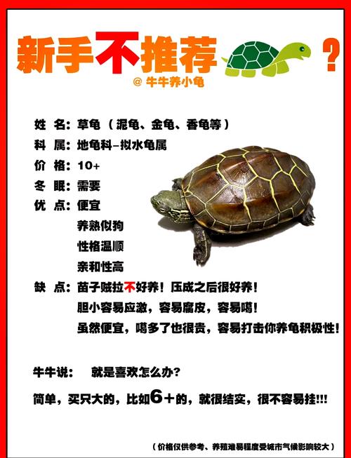 養龜窮一生