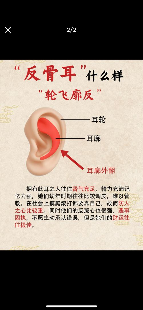 反耳骨什么意思 反耳男人面相運勢順暢