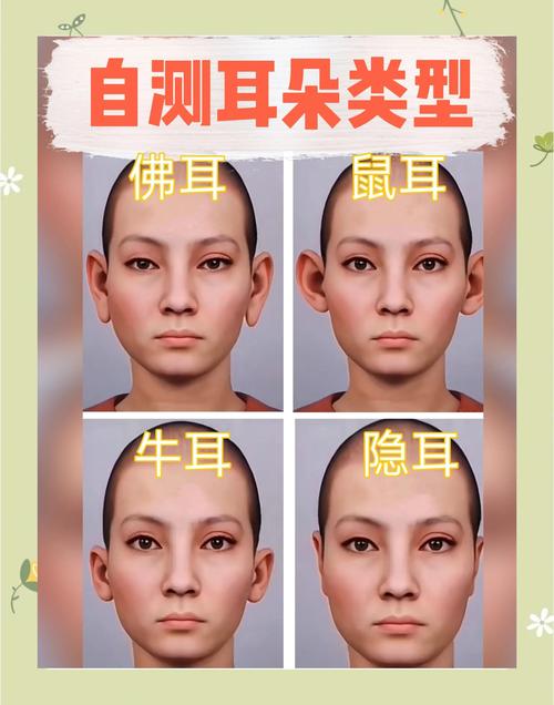 怎么判斷自己的耳朵類型? 耳朵有輪無廓是怎樣的