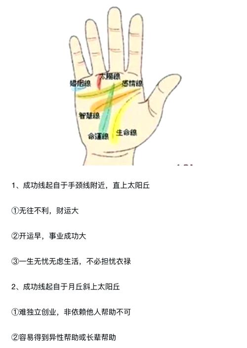 事業紋分成兩根 女人事業線圖解