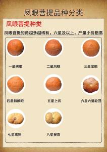 鳳眼有幾種 鳳眼種類圖解