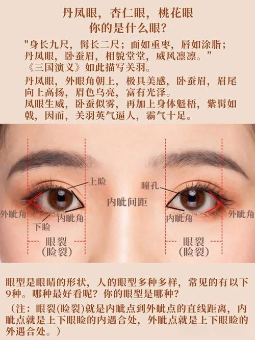 面相學眼睛圖解 眼睛形狀看你愛情順不順