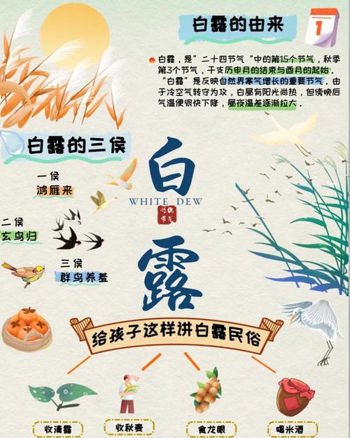 2022年白露前后出生的寶寶 白露日生的孩子有什么寓意