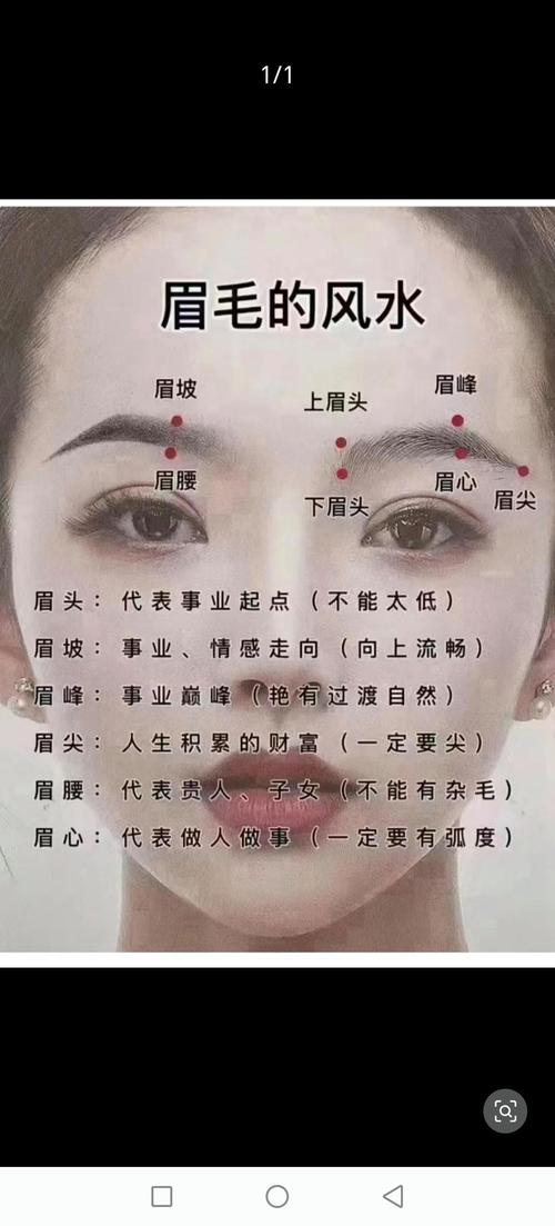 面相看不同眉型的女人