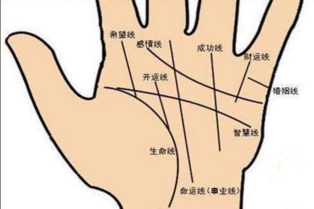 財(cái)富線圖解：手相學(xué)之財(cái)富線算命圖解
