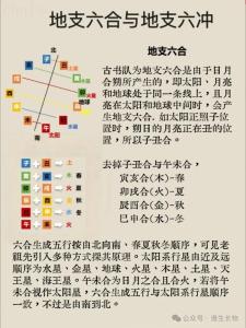 地支六沖與疾病 地支六沖如何化解