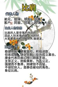 八字比肩與坐支關系