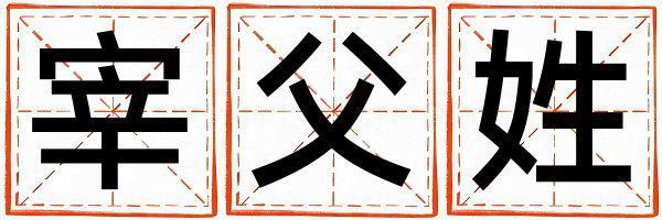 宰父姓優(yōu)美大方的女孩名字,取什么名字好