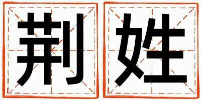 姓荊叫什么名字好 姓荊的男孩有智慧才氣的名字