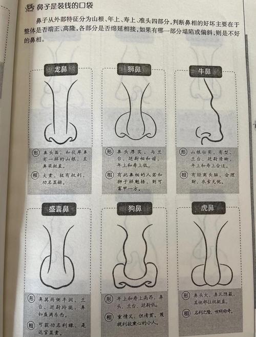 相學最有福氣的7種鼻子 相面術看鼻子圖片