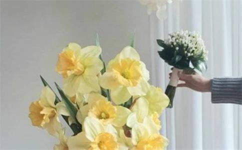2026年農歷三月十七是不是領證吉日 宜領證結婚吉日查詢