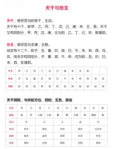 八字十二地支辰土 八字十二地支辰土詳解