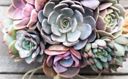 2026年05月14日領證日子如何 登記結婚吉利嗎