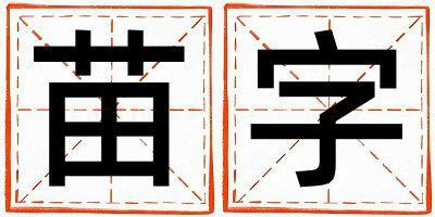 苗字取名的寓意是什么,苗字取名的含義是什么,苗字取名的意思解釋