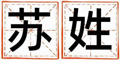 蘇姓大氣文雅的男孩名字,取什么名字好