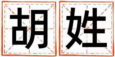 胡姓有智慧才氣的男孩名字,取什么名字好