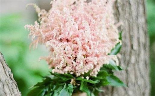 2026年08月21日領證好不好 今日登記結婚好嗎