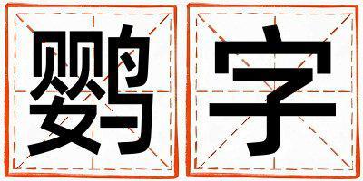 鸚字取名的寓意是什么,鸚字取名的含義是什么,鸚字取名的意思解釋