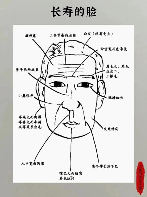 長壽臉是什么樣的 面相圖解
