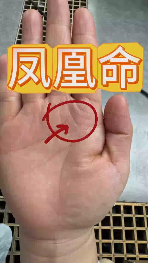 2018年會有好運的手相長啥樣