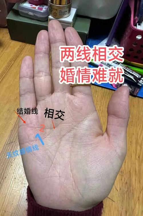 男人有兩條感情線代表了什么