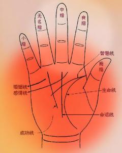 手相怎么看財運線