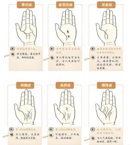 七種能賺大錢的手相