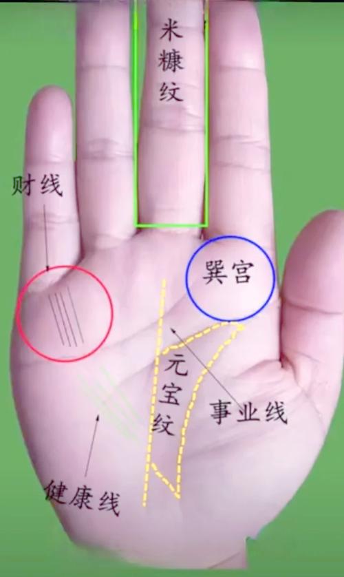 手相財富線看你是否有富貴命