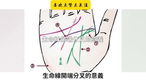 生命線上有分叉代表什么