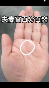男人必定離婚的手相