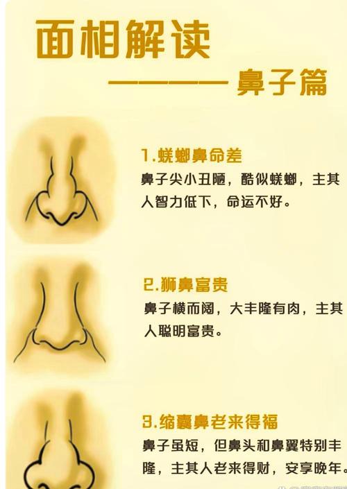 女人鼻子面相分析 代表什么