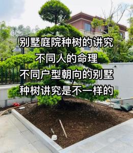 別墅綠化風水禁忌