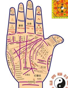 大多數(shù)人都能掌心存水是什么意思 有福氣嗎