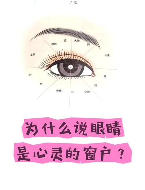 眼睛向下看的心理學
