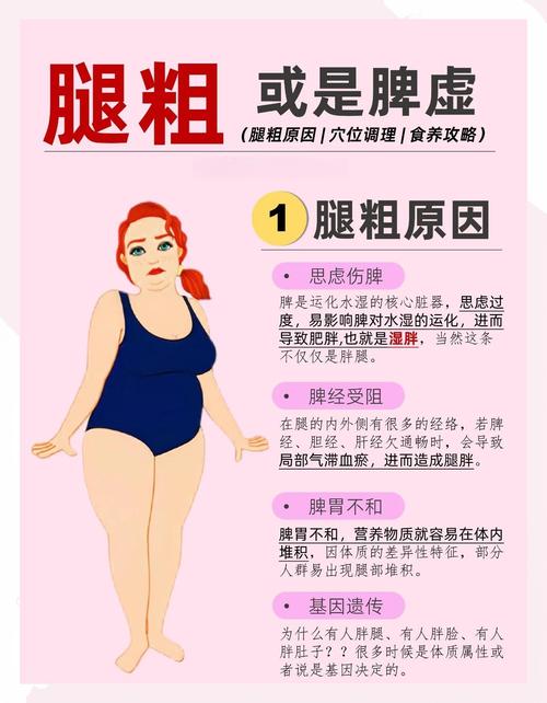 大腿粗的女人命運好嗎  富貴體型圖解大全