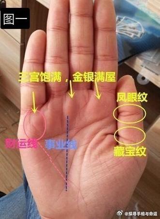 鳳眼紋手相是什么 漏財紋嗎