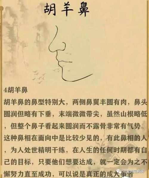 為什么說鼻體露骨，蘭廷小準(zhǔn)頭尖者多疑且心狠