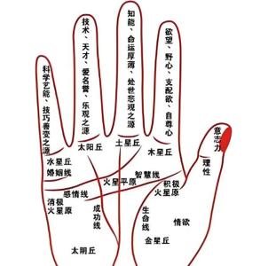 右手有佛眼紋的人命運如何 佛眼紋手相解析
