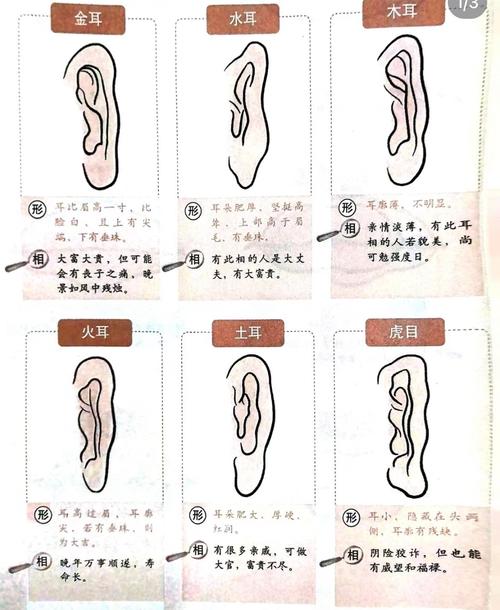 方耳垂的人命運怎么樣