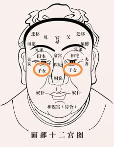 面相十二宮相法之子女宮解析